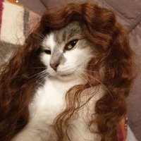 Oopsielay (@agent_samosa) 's Twitter Profile Photo Oopsielay (@agent_samosa) 's Twitter Profile Photo