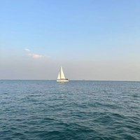 二狗 (@fshbffiy89h3da4) 's Twitter Profile
