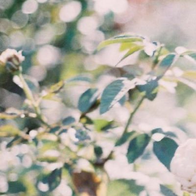 ArZrM224o41's profile picture. 長岡ゼミナール