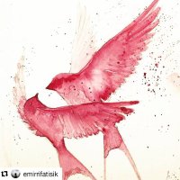 Natalie (@gordonkalel) 's Twitter Profile