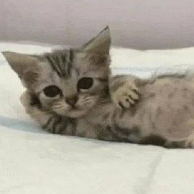 parnekaaa's profile picture. 