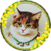 ぷぅた🐈⬛ (@kjyou_amane) Twitter profile photo ぷぅた🐈⬛ (@kjyou_amane) Twitter profile photo