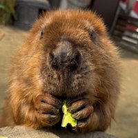 bibami(ビバ美) (@bi__bami) 's Twitter Profile Photo