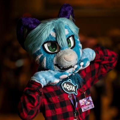 Aqua the Catさんのプロフィール画像