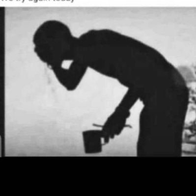 gato_karakura's profile picture. 