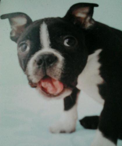 nee1973's profile picture. Living life to the fullest. World traveller. Sports fan of Seattle Seahawks, Philadelphia Eagles, and FC Barcelona.