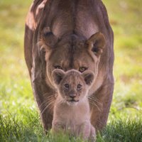 02beny (@02beny1) 's Twitter Profile