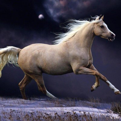 Lakshya32075162's profile picture. 