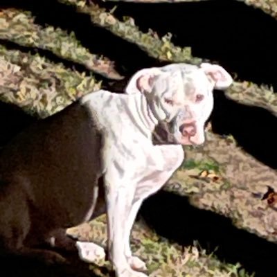 RTO6970's profile picture. SANG FROID
