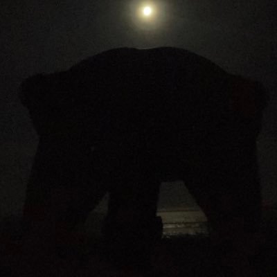 sorathin0721's profile picture.