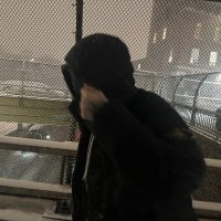 walt john pearce (@walt_knows_best) 's Twitter Profile