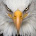 Luk #Nawrocki2025 (@lukaszadamczyq) Twitter profile photo