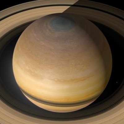 OnionKnight8's profile picture. 