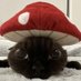 orchid (@orchia_) Twitter profile photo orchid (@orchia_) Twitter profile photo