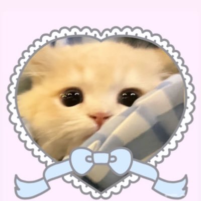 bbymumeaww's profile picture. mommy of muays ₍ᐢ..ᐢ₎♡̷ ꒰ @nampingnapat 🐰 @kongjiro_ 🍓 @savewrg 🐈 ꒱ ㅋᩚㅋᩚㅋᩚ 🩵🤍