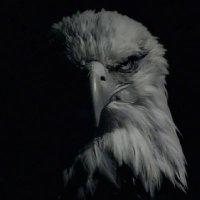 abuu arqam (@alute_muss56926) 's Twitter Profile