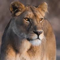 sessa_melissa80's profile picture. 