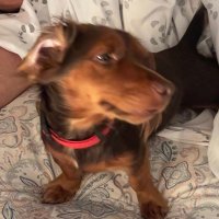 Soaks369 (@akaumatule) 's Twitter Profile