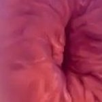 Near limitless 21 it/f
Send me any filth you want 🤎
Make me worse 🐷🚽💩
No gore No minors No irl solo cock/males🚫I WILL ban you🚫
I don't send for privacy