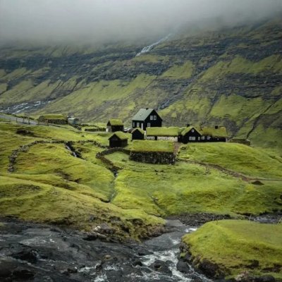 No trates de buscarle el sentido a la vida. La vida es la que te da sentido a ti.
El alimento más importante es el que le das a tu mente.