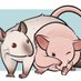 🧀🐁 (@rat_cheese_) Twitter profile photo 🧀🐁 (@rat_cheese_) Twitter profile photo