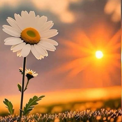 cm_coadk's profile picture. 