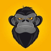 CryptoCities (@cryptociti83236) Twitter profile photo