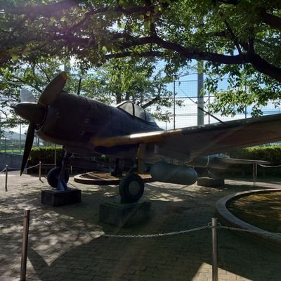 DtWz3TJQYWzFFJ1's profile picture. 