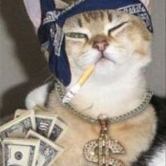 Venoxie7's profile picture. 🇭🇺