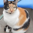 Daniel Piñeyro - @DanielPieyro3 - Twitter