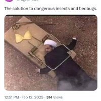 Done (@mayurmathura) 's Twitter Profile