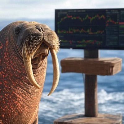 Full Time Crypto Trader
Student of:
Trader Dante
Crypto Cred
Trader Mayne