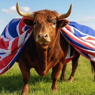 Investor_UK1's profile picture. Gold Bull.