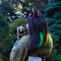 爽香=sayaka=@狐狸夢中 (@korimuchuu) 's Twitter Profile Photo 爽香=sayaka=@狐狸夢中 (@korimuchuu) 's Twitter Profile Photo
