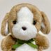 お犬のちまき (@iyashinochimaki) Twitter profile photo お犬のちまき (@iyashinochimaki) Twitter profile photo