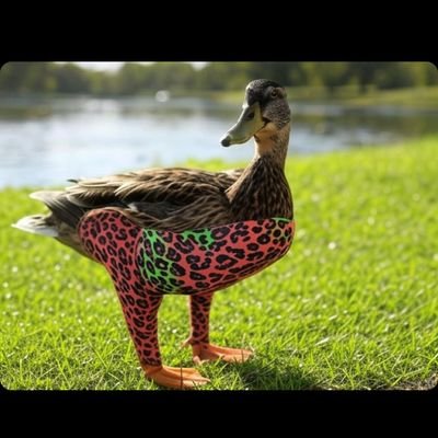 guy_hodl's profile picture. Developer, BTC enthusiast