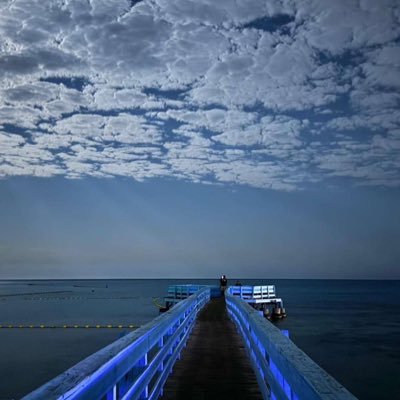 MohamedBakhorji's profile picture. 