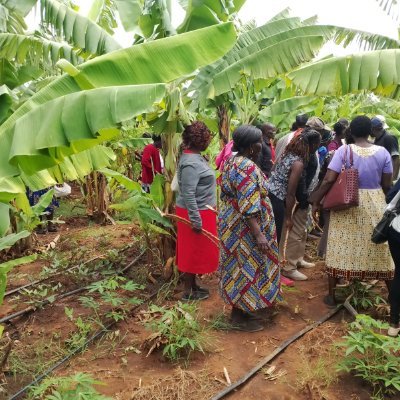 Indigenous Women and Girls Initiative Profile