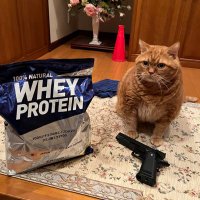 アヤトシ ʚ♡⃛ɞLᵒᵛᵉ & ✌︎︎ ☮︎peace (@gurabuski) Twitter profile photo