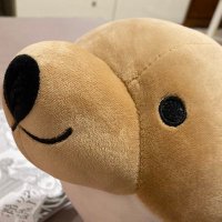 你遙簽連署書ㄇ? (@harulin2000) 's Twitter Profile