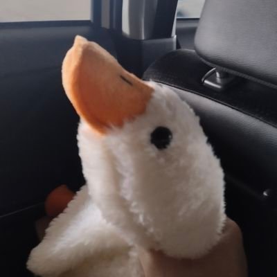 Dukieさんのプロフィール画像