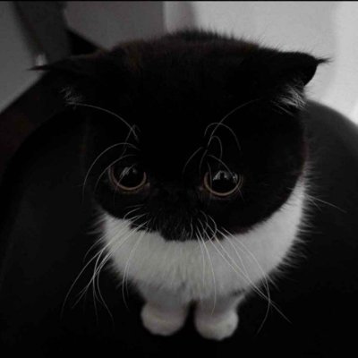 Tr1xz4's profile picture. 🇿🇦, 20.
i make the funny and play video game.