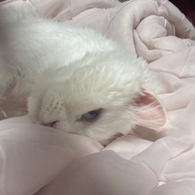 jeon21118's profile picture. 