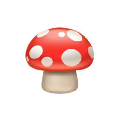 🍄🍄🍄🍄🍄🍄🍄🍄🍄🍄🍄🍄🍄🍄🍄🍄🍄🍄🍄🍄🍄チャンネルがーどまん応援垢🍄🍄🍄🍄🍄🍄🍄🍄🍄🍄🍄🍄🍄🍄🍄🍄🍄🍄🍄🍄🍄(MYくんとの血縁関係はありません)