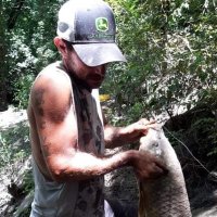 Mark v (@markcv83) 's Twitter Profile