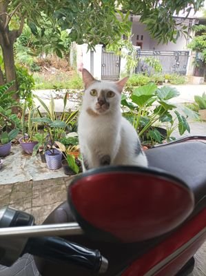 Gunsetya's profile picture. Hidup sederhana, jauh dari glamouritas