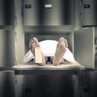 END OF LIFE (@tfomadw) 's Twitter Profile