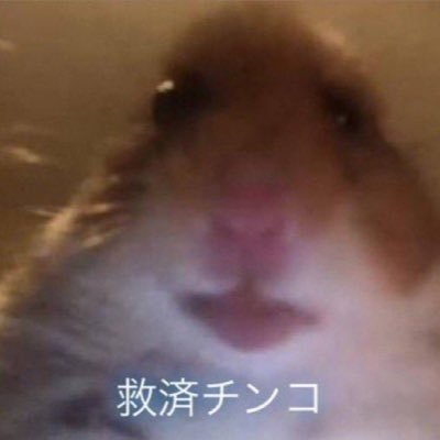 ko0912a's profile picture. @Satsujin_Ny