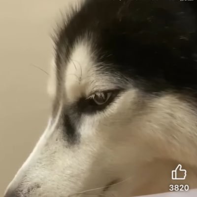 Mix891226's profile picture. 