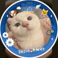 ππ£π βοΈο½₯β§ *οΎο½‘ (@_inksrk) 's Twitter Profile